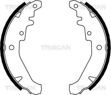 Комплект гальмівних колодок TRISCAN 810015026 (фото 1)