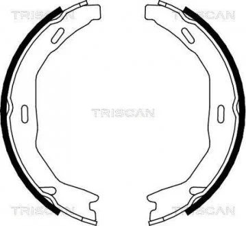 Комплект гальмівних колодок, Стоянкове гальмо TRISCAN 810023029 (фото 1)