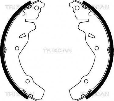 Комплект гальмівних колодок TRISCAN 810080002