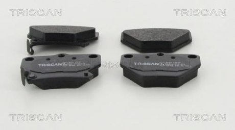 Тормозные колодки для дисковых тормозов TRISCAN 811 013 047 (фото 1)