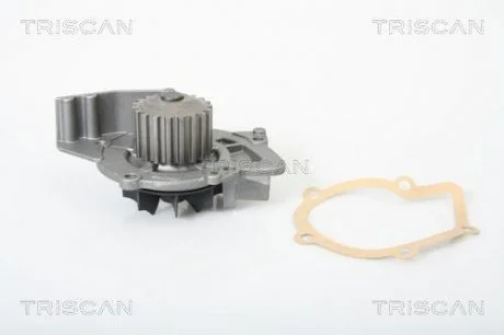 Насос системи охолодження двигуна TRISCAN 860 010 009