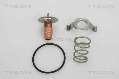 Термостат TRISCAN 862 013 487