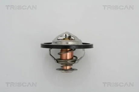 Термостат системи охолодження двигуна TRISCAN 862 013 591