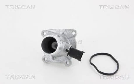 Термостат-клапан EGR Opel Astra G/H 07-/Meriva 05-/Insignia 08-Vectra C 06-/Zafira 05- TRISCAN 8620259105