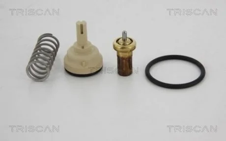 Термостат TRISCAN 862 040 080