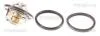 Термостат Nissan Juke/Tiida/Qashqai/X-Trail/Renault Fluence/Koleos/Laguna III/Megane III 1.6/1.8/2.0 2003- 86207688