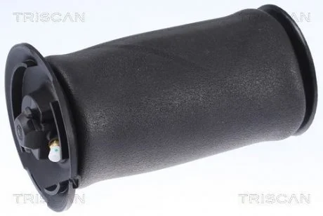 Пневмоподушка підвіски. TRISCAN 872 011 202
