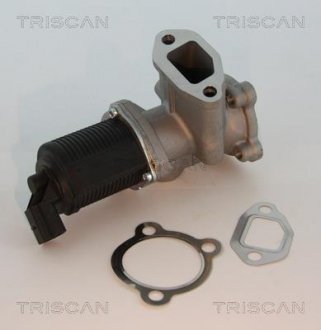Клапан возврата отработавших газов двигателя TRISCAN 881310003 (фото 1)