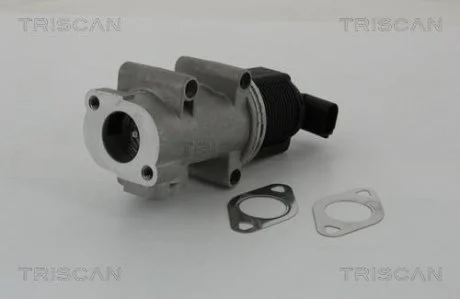 Клапан повернення відпрацьованих газів двигуна TRISCAN 881310005 (фото 1)