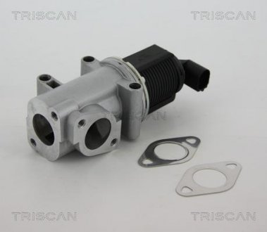Клапан повернення відпрацьованих газів двигуна TRISCAN 881310015 (фото 1)