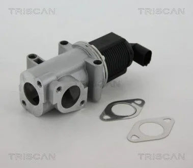 Клапан повернення відпрацьованих газів двигуна TRISCAN 881310015 (фото 1)