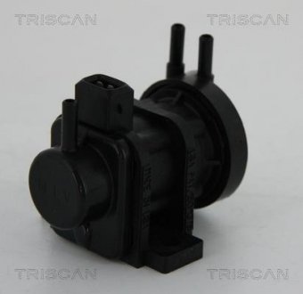 Клапан повернення відпрацьованих газів двигуна TRISCAN 8813 24052 (фото 1)