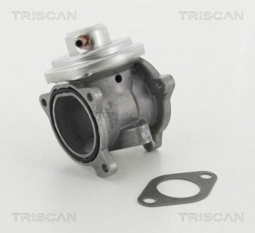 Клапан возврата отработавших газов двигателя TRISCAN 881329011 (фото 1)