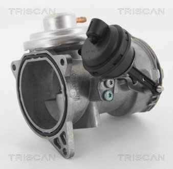 Клапан повернення відпрацьованих газів двигуна TRISCAN 881329070 (фото 1)