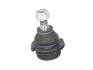 Опора кульова CITROEN, PEUGEOT (пр-во TRW) JBJ131