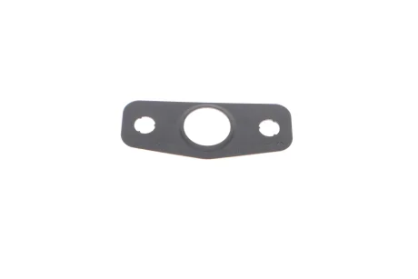 Прокладка маслопровода VW Passat, Golf, Tiguan, Polo/ Superb/Seat Ateca, Ibiza 1.6, 2.0 (15-) VAG 04B145757 (фото 1)