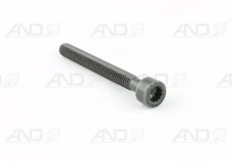 Болт крепления форсунки VW T5 2.5TDI 03- VAG 070 103 385A
