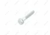 Винт с шестигр.гол.с буртиком Audi, VW,, Seat VAG N10425302 (фото 1)