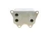 Радіатор масляний SEAT; VW; SKODA; AUDI Van Wezel 03013704 (фото 3)