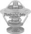 Термостат Chrysler 300C/M/Concorde 2.7-3.5 97-12 (83C) TH1410.83J