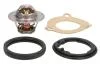 Термостат A4/A5/A6/Seat Leon/Skoda Fabia/VW Polo/Nissan Micra 1.0-2.0 TDI 78- (82C) TH5962.82J