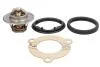 Термостат VW Caddy III/Golf IV/T4/T5/Octavia/A4/A6 1.4-2.0 TDI 80- (88C) TH5962.88J