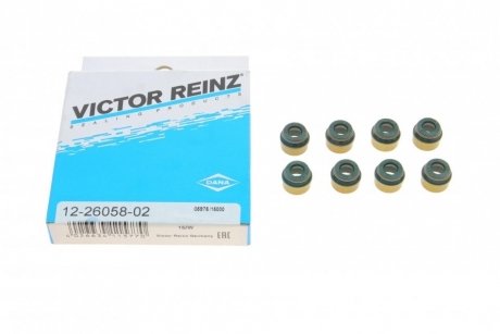 Набір сальників клапанів головки блоку циліндрів двигуна VICTOR REINZ 12-26058-02
