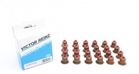 Набір сальників клапанів головки блоку циліндрів двигуна VICTOR REINZ 12-35172-02 (фото 1)