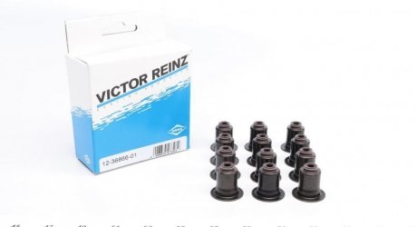 Набір сальників клапанів головки блоку циліндрів двигуна VICTOR REINZ 12-36866-01 (фото 1)