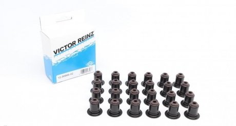 Набір сальників клапанів головки блоку циліндрів двигуна VICTOR REINZ 12-36866-02
