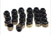 Набір сальників клапанів головки блоку циліндрів двигуна VICTOR REINZ 12-37801-01 (фото 1)