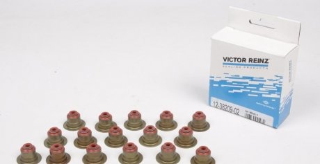 Набір сальників клапанів головки блоку циліндрів двигуна VICTOR REINZ 12-38209-02