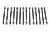 К-кт болтов ГБЦ Bmw M52B20/M52B25/M52B28 14-32101-01