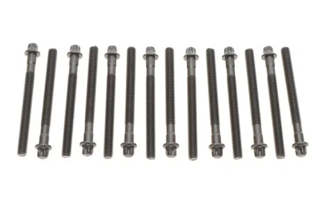 К-кт болтів ГБЦ Bmw M52B20/M52B25/M52B28 VICTOR REINZ 14-32101-01