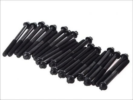 Набор болтов головки блока цилиндров двигателя VICTOR REINZ 14-32238-01