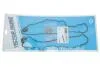 Прокладка крышки клапаной OPEL 2.5 DOHC mot.X25XE/ 95- 15-34268-02