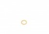 Уплотнительное кольцо, резьбовая пробка 417005900
