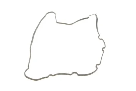 Прокладка крышки клапанов PEUGEOT 307/406/607/806/807/Expert 2,0 HDI-2,2HDI 08.99- VICTOR REINZ 71-34404-00