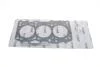 Прокладка головки блока металлическая Skoda Fabia 1,4D (03-08)/VW Polo (99-,01-) VIKA 11031389901 (фото 1)