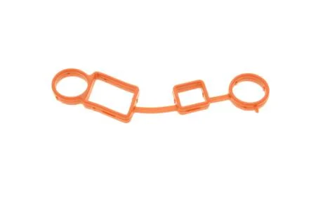 Прокладка фильтра системы вентиляции картера (маслоотделителя) VIKA 11031795301 (фото 1)