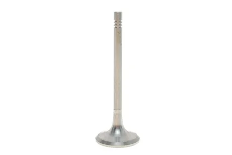 Клапан випускний Skoda Octavia (00-10,04-13)/VW Golf (00-05,08-12)/Audi A4 (01-04) VIKA 11090724501