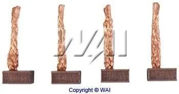 Щітки стартера WAI PLSX5