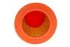 Фото 3 - фильтр воздушный /234/4 (WIX-Filtron) WIX FILTERS WA9578 Фильтр воздушный /234/4 (WIX-Filtron) WIX FILTERS WA9578 (фото 3)
