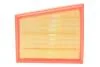 Фильтр воздушный RENAULT MEGANE, SCENIC 1.2-1.3 Tce 15- (выр-во WIX-FILTERS) WA9831
