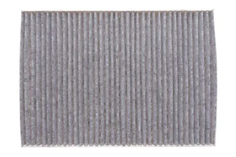 Фильтр салона TESLA MODEL S II угольный (WIX-FILTERS) WIX FILTERS WP2165 (фото 1)