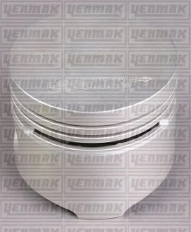 Поршень с кольцами і пальцем (размер отв. 76,00/STD) RENAULT Rapid/19/Super 5 1,4 -94 (C 1/2/3/16 J) Yenmak 31-03904-000