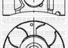 YENMAK OPEL Поршень с кольцами і пальцем (размер отв. 79,0/STD) Astra H, Combo, Meriva, 1.7CDTI 03- 39-04233-000